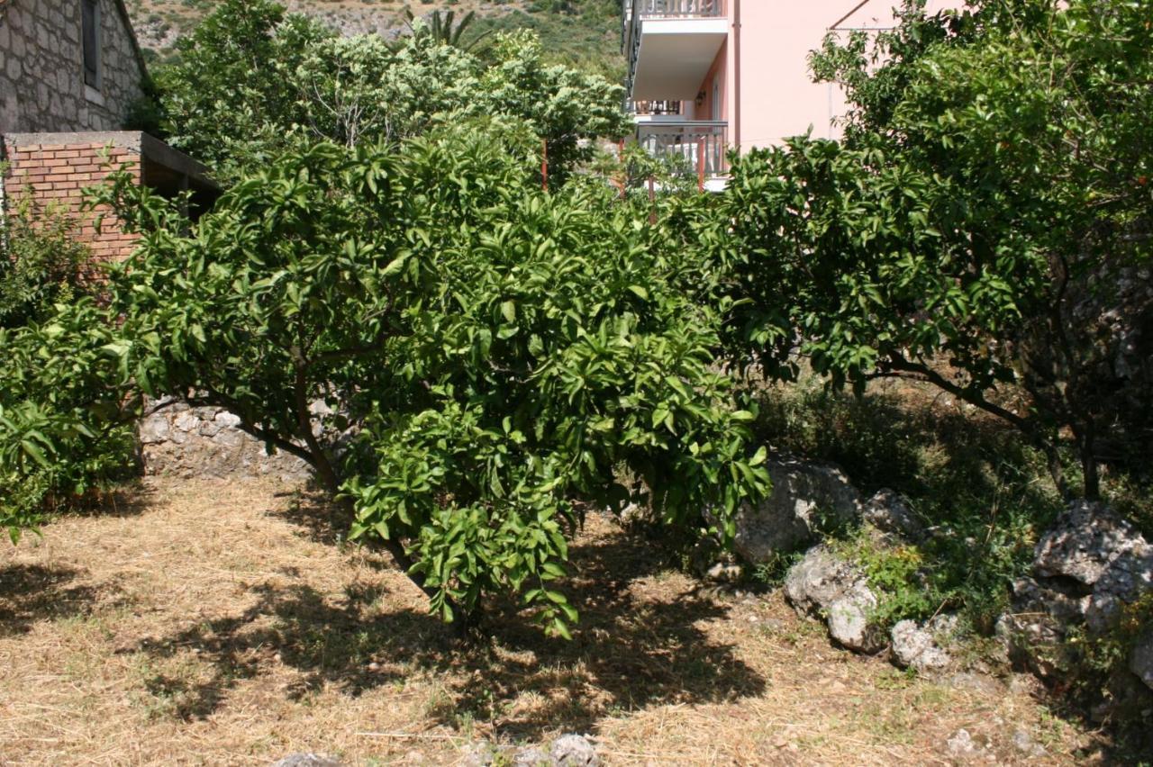 Apartments By The Sea Podaca, Makarska - 6874 Екстериор снимка